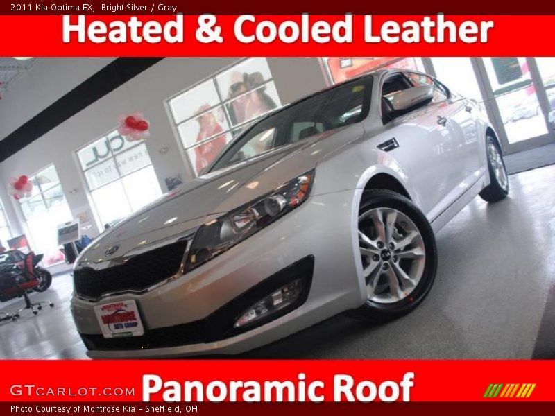 Bright Silver / Gray 2011 Kia Optima EX