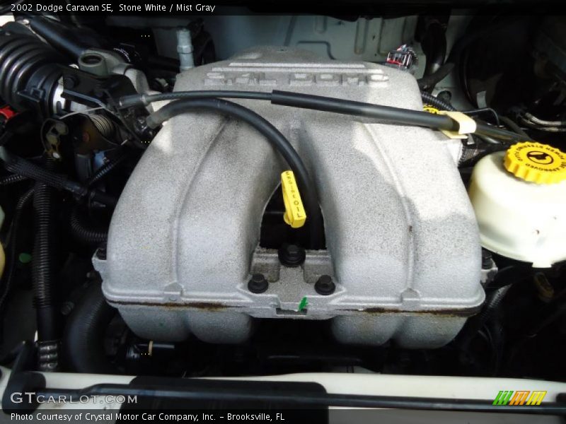 Stone White / Mist Gray 2002 Dodge Caravan SE