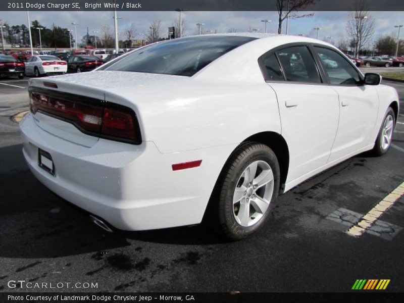 Bright White / Black 2011 Dodge Charger SE