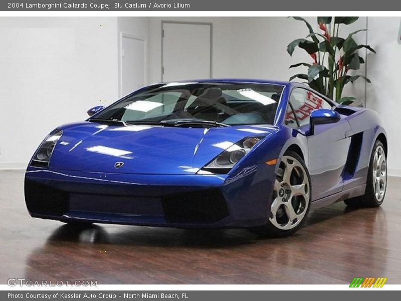 Blu Caelum / Avorio Lilium 2004 Lamborghini Gallardo Coupe
