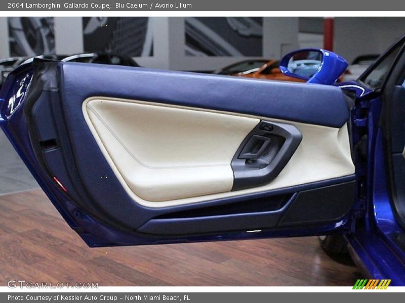 Door Panel of 2004 Gallardo Coupe