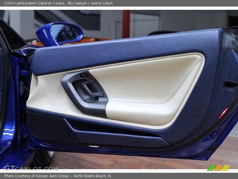 Door Panel of 2004 Gallardo Coupe