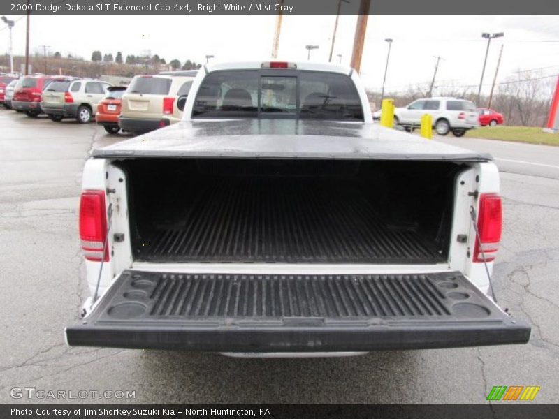Bright White / Mist Gray 2000 Dodge Dakota SLT Extended Cab 4x4