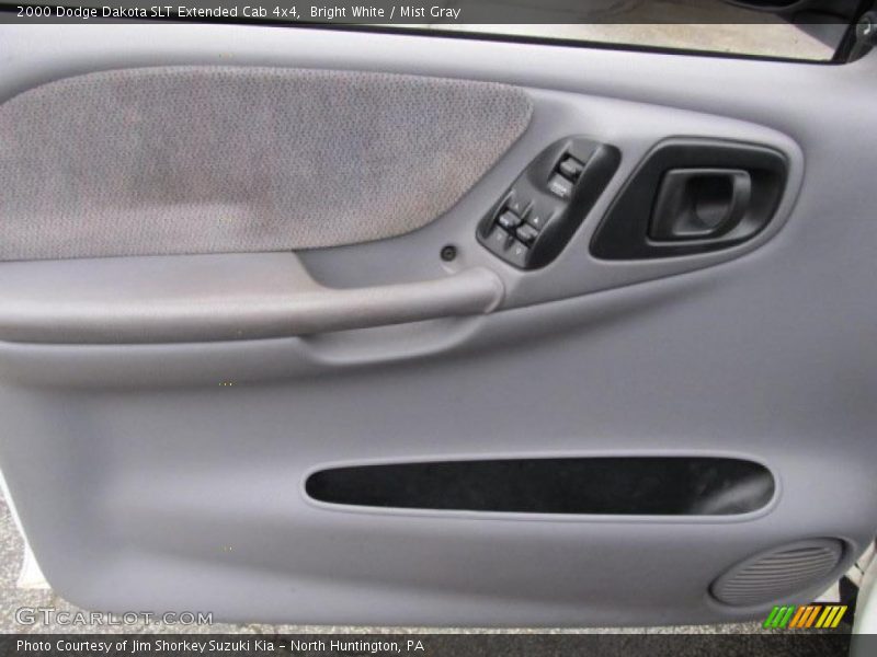 Door Panel of 2000 Dakota SLT Extended Cab 4x4