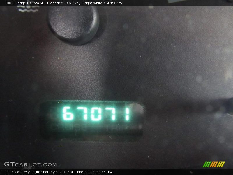 Bright White / Mist Gray 2000 Dodge Dakota SLT Extended Cab 4x4
