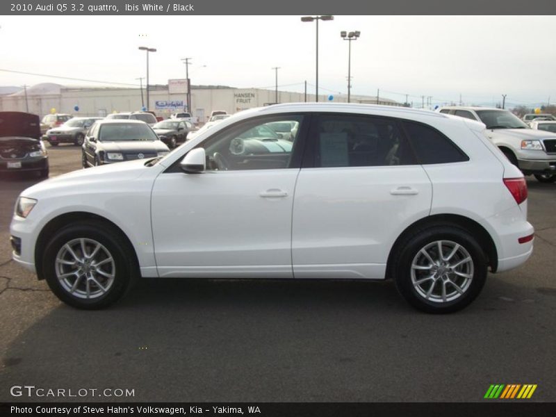 Ibis White / Black 2010 Audi Q5 3.2 quattro