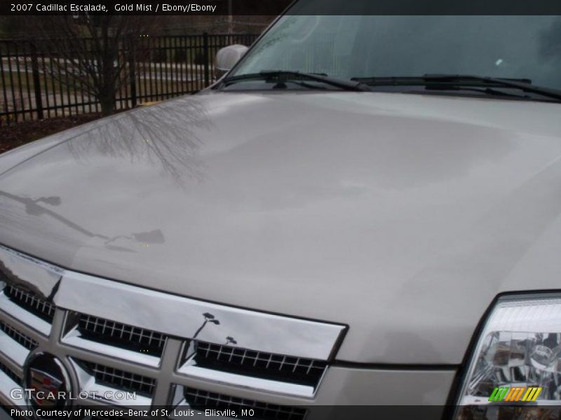 Gold Mist / Ebony/Ebony 2007 Cadillac Escalade