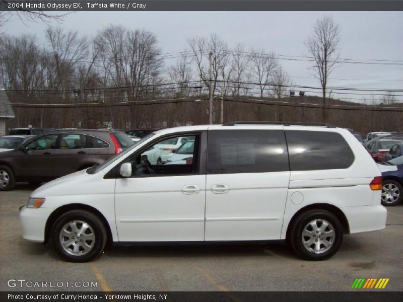 Taffeta White / Gray 2004 Honda Odyssey EX