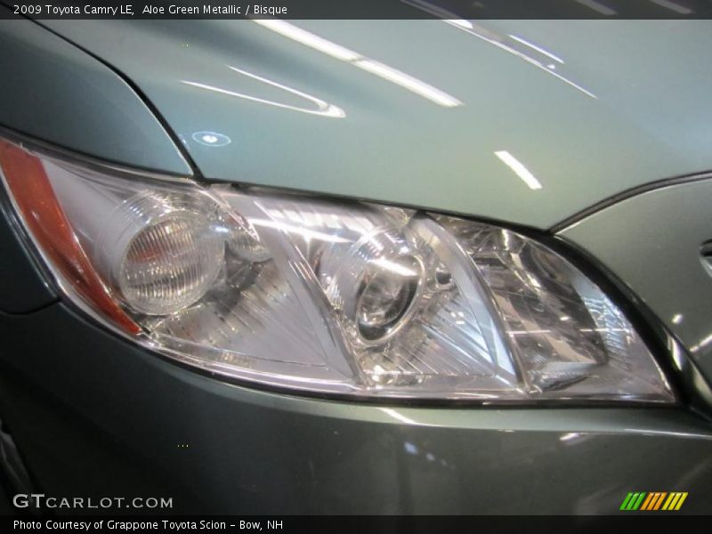 Aloe Green Metallic / Bisque 2009 Toyota Camry LE
