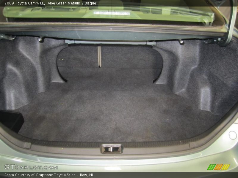 Aloe Green Metallic / Bisque 2009 Toyota Camry LE