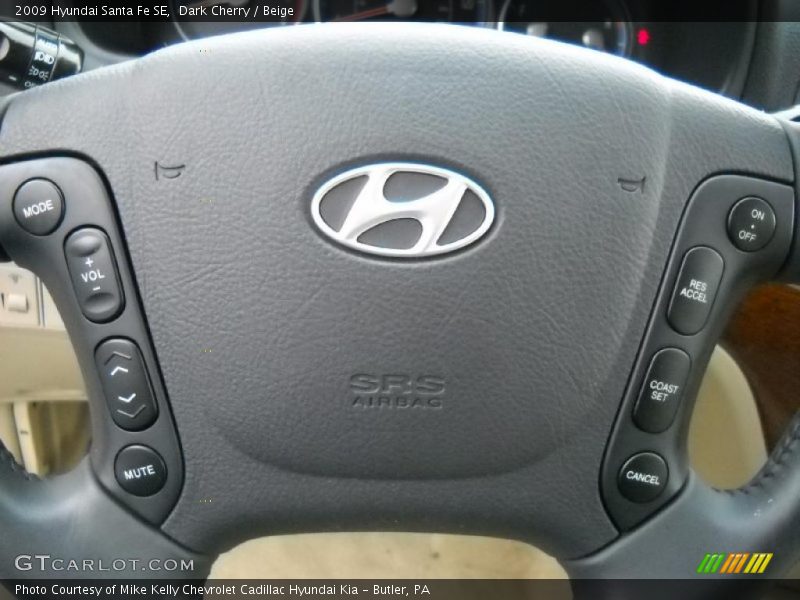 Dark Cherry / Beige 2009 Hyundai Santa Fe SE