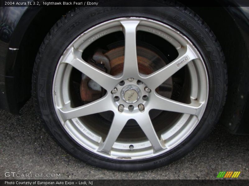Nighthawk Black Pearl / Ebony 2004 Acura TL 3.2
