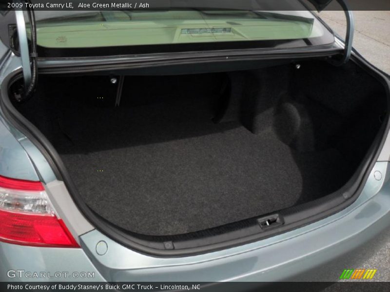 Aloe Green Metallic / Ash 2009 Toyota Camry LE