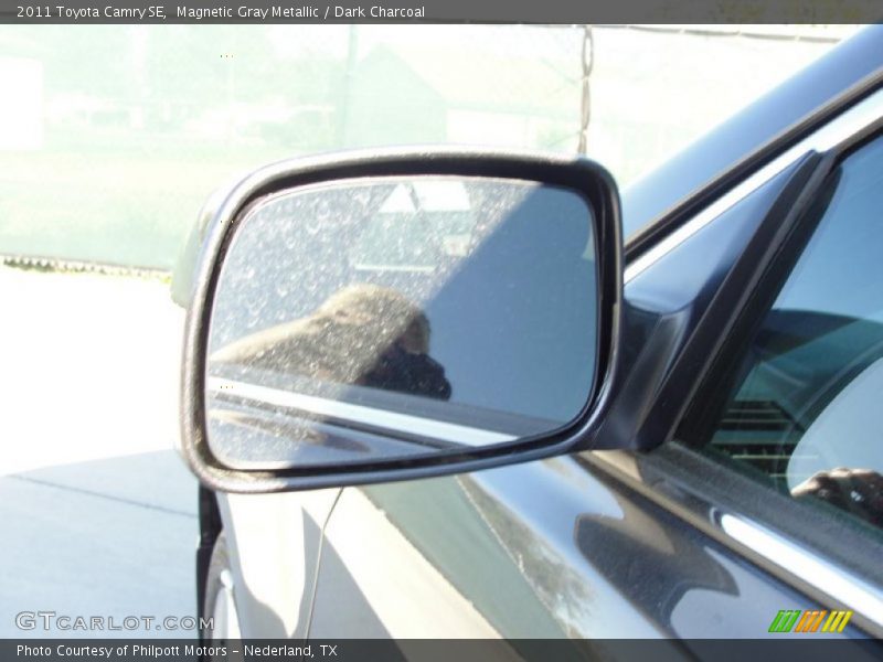 Magnetic Gray Metallic / Dark Charcoal 2011 Toyota Camry SE