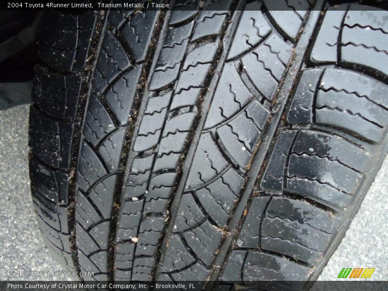 Titanium Metallic / Taupe 2004 Toyota 4Runner Limited