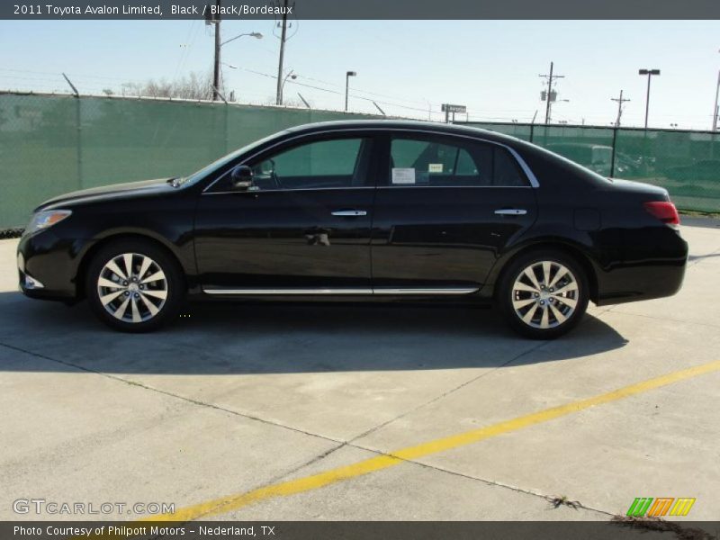 Black / Black/Bordeaux 2011 Toyota Avalon Limited
