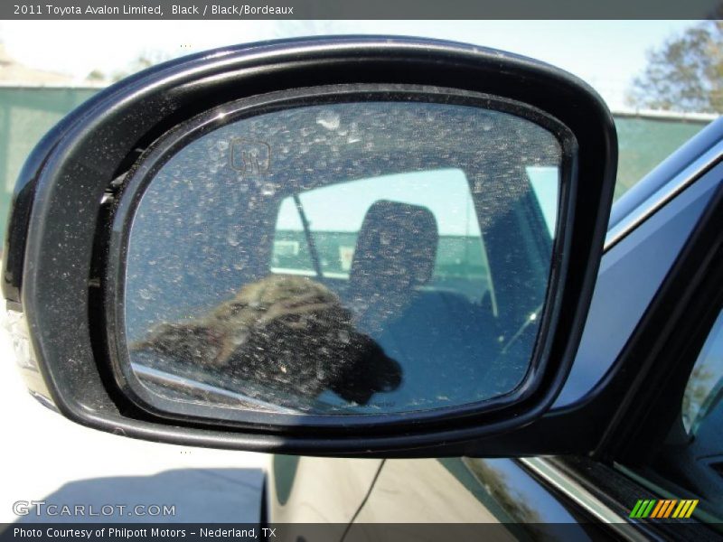 Black / Black/Bordeaux 2011 Toyota Avalon Limited