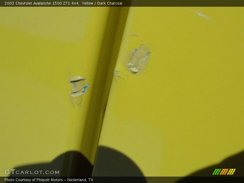 Yellow / Dark Charcoal 2003 Chevrolet Avalanche 1500 Z71 4x4