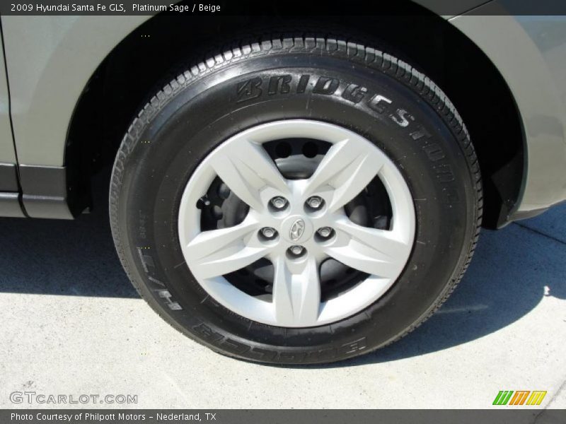 Platinum Sage / Beige 2009 Hyundai Santa Fe GLS
