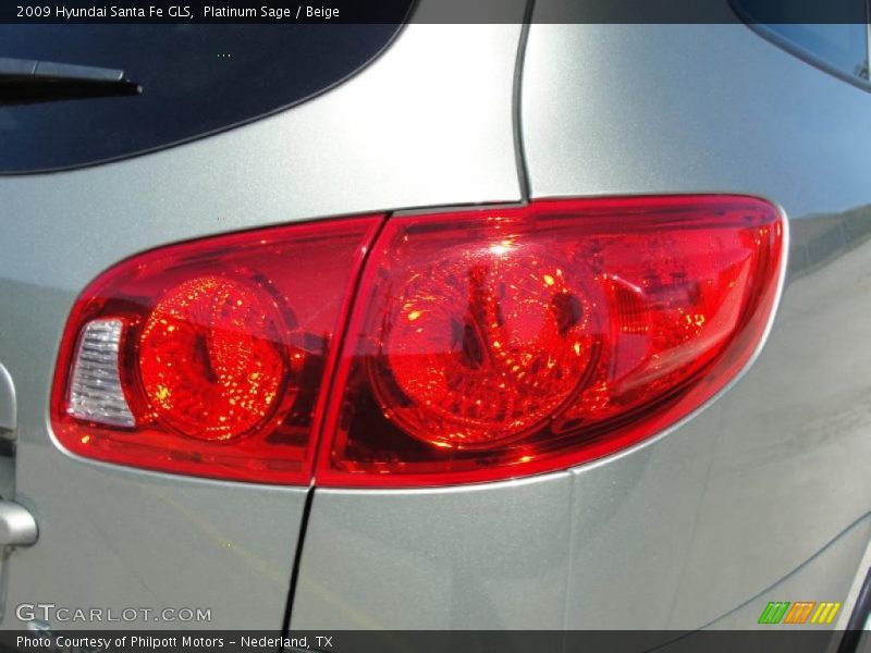 Platinum Sage / Beige 2009 Hyundai Santa Fe GLS