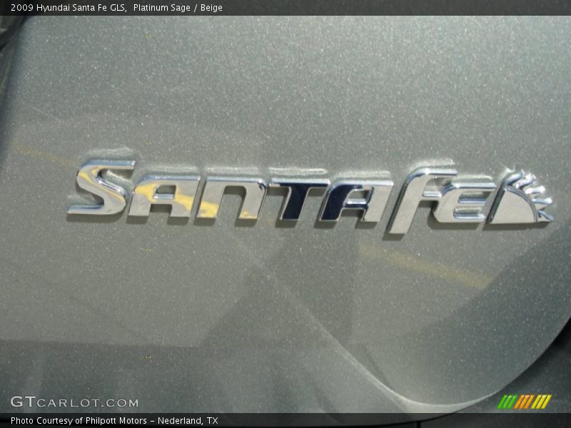 Platinum Sage / Beige 2009 Hyundai Santa Fe GLS