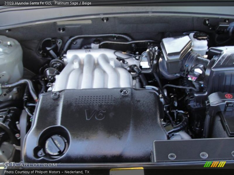 Platinum Sage / Beige 2009 Hyundai Santa Fe GLS