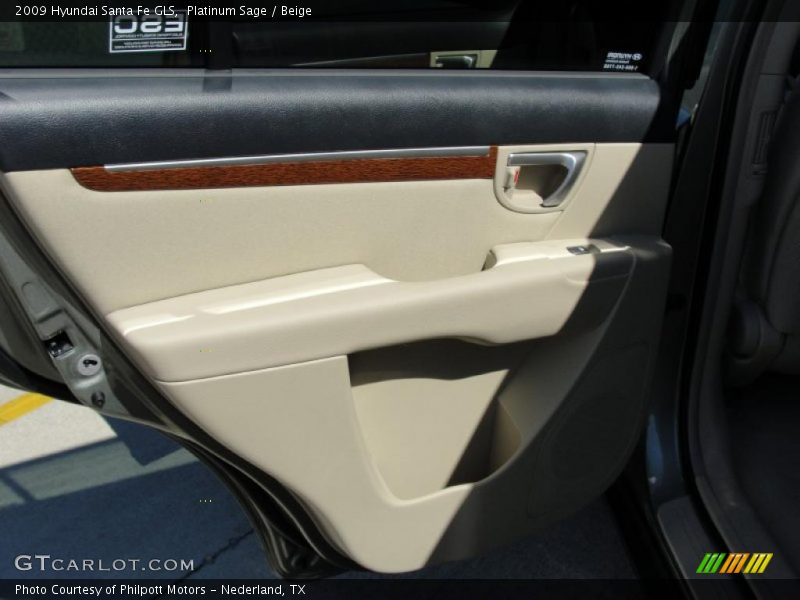Platinum Sage / Beige 2009 Hyundai Santa Fe GLS