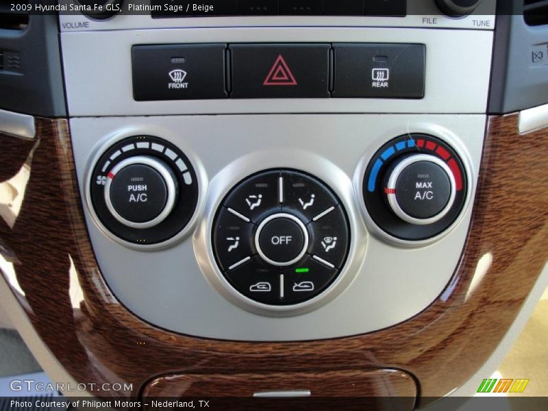 Platinum Sage / Beige 2009 Hyundai Santa Fe GLS