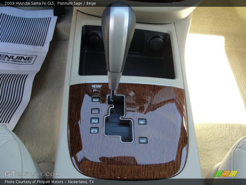 Platinum Sage / Beige 2009 Hyundai Santa Fe GLS