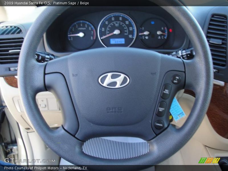 Platinum Sage / Beige 2009 Hyundai Santa Fe GLS