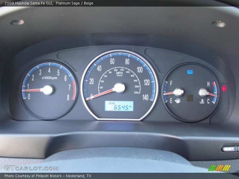 Platinum Sage / Beige 2009 Hyundai Santa Fe GLS