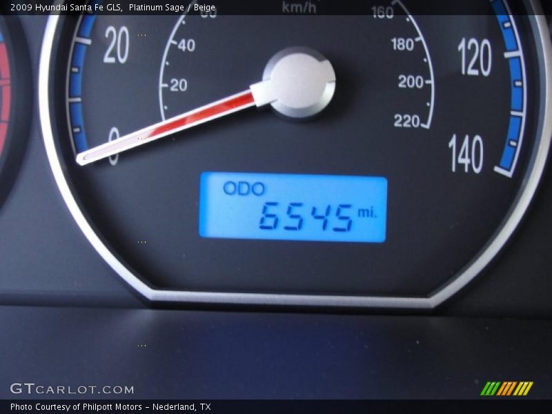 Platinum Sage / Beige 2009 Hyundai Santa Fe GLS