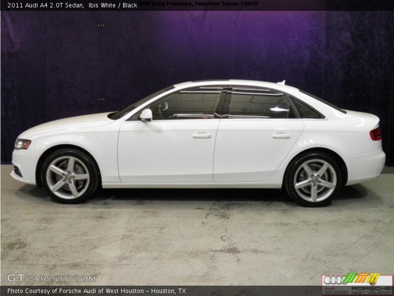 Ibis White / Black 2011 Audi A4 2.0T Sedan