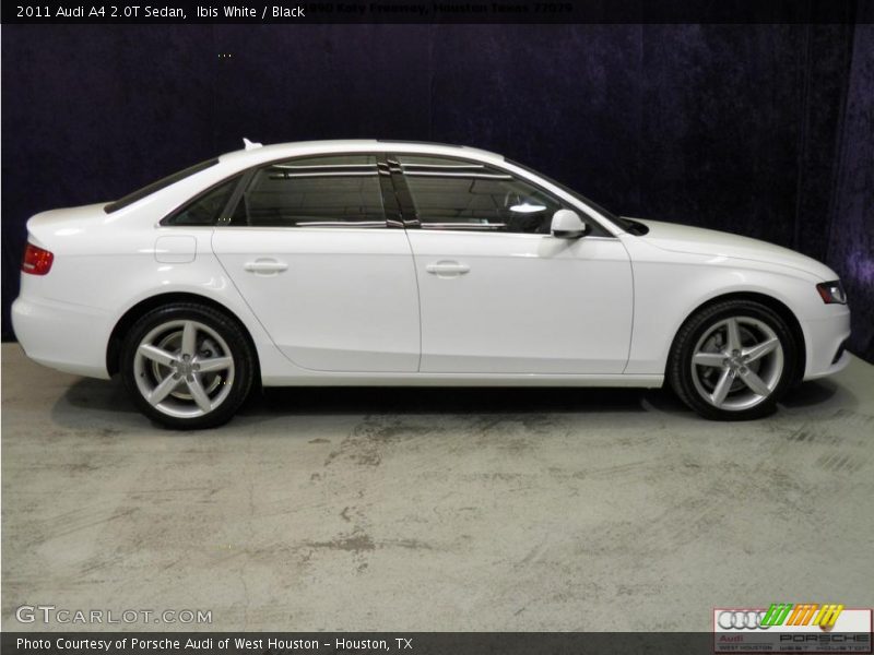 Ibis White / Black 2011 Audi A4 2.0T Sedan