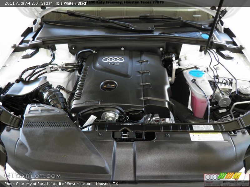 Ibis White / Black 2011 Audi A4 2.0T Sedan