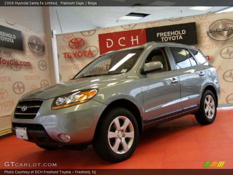 Platinum Sage / Beige 2009 Hyundai Santa Fe Limited