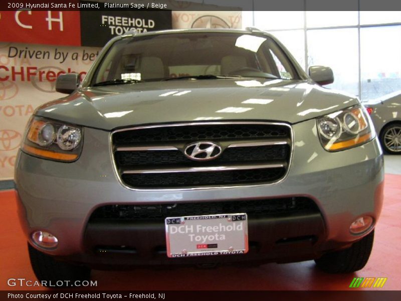 Platinum Sage / Beige 2009 Hyundai Santa Fe Limited
