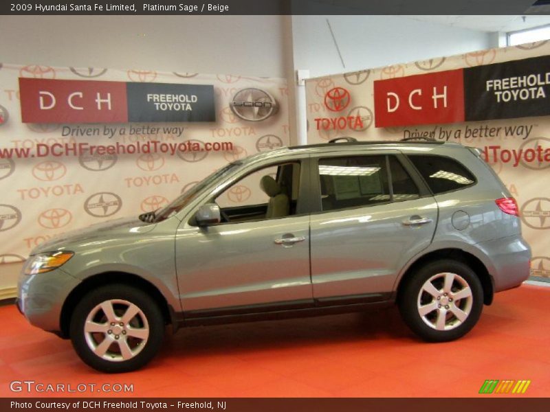 Platinum Sage / Beige 2009 Hyundai Santa Fe Limited