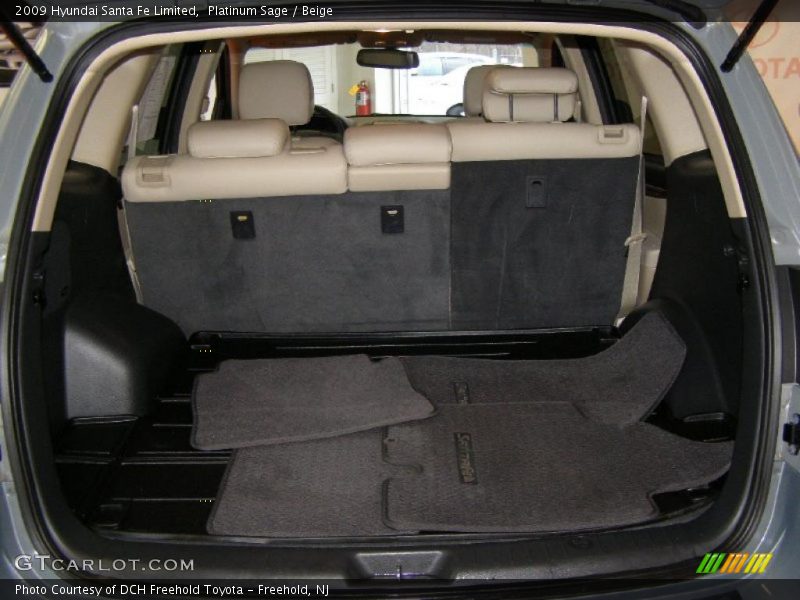 Platinum Sage / Beige 2009 Hyundai Santa Fe Limited