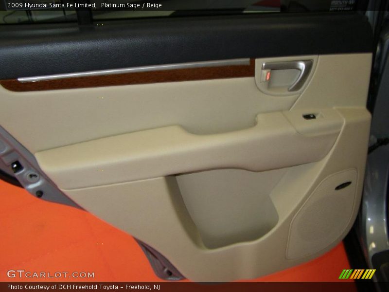 Platinum Sage / Beige 2009 Hyundai Santa Fe Limited