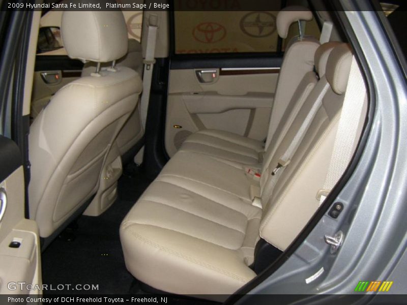 Platinum Sage / Beige 2009 Hyundai Santa Fe Limited