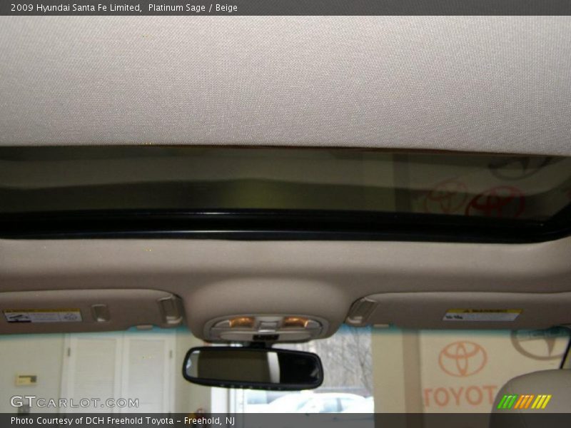 Platinum Sage / Beige 2009 Hyundai Santa Fe Limited