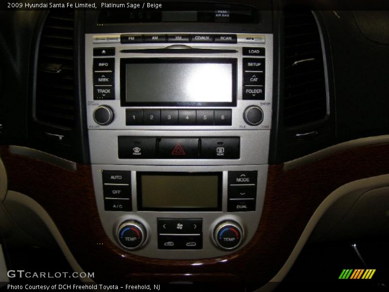 Platinum Sage / Beige 2009 Hyundai Santa Fe Limited