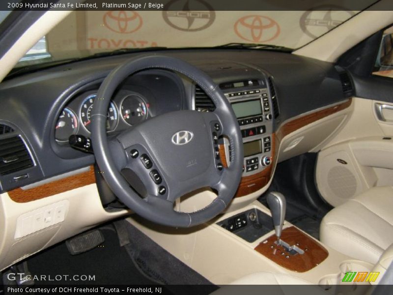 Platinum Sage / Beige 2009 Hyundai Santa Fe Limited