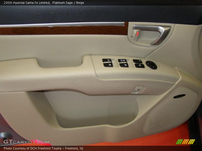 Platinum Sage / Beige 2009 Hyundai Santa Fe Limited