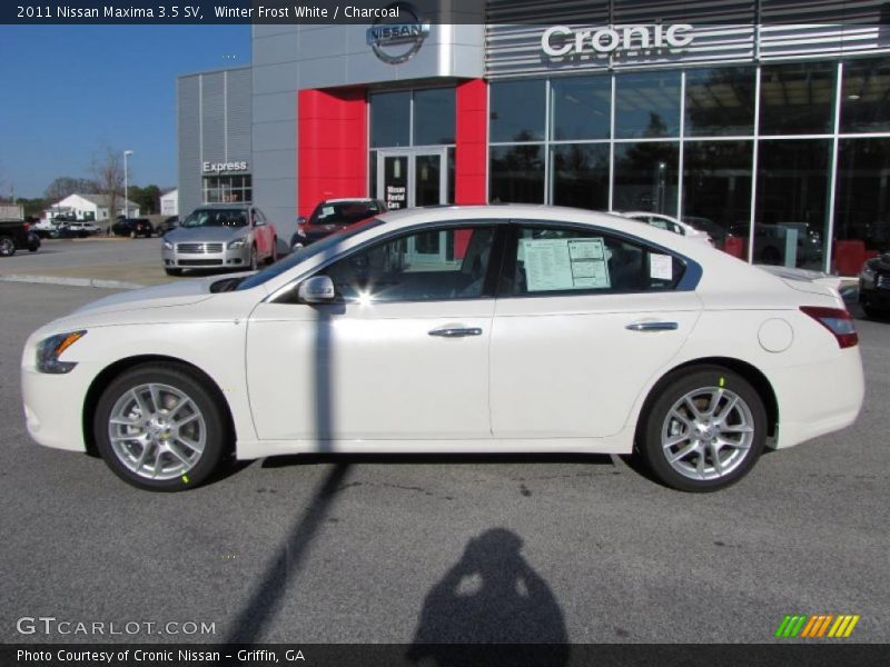 Winter Frost White / Charcoal 2011 Nissan Maxima 3.5 SV