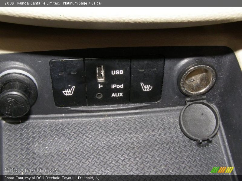 Platinum Sage / Beige 2009 Hyundai Santa Fe Limited