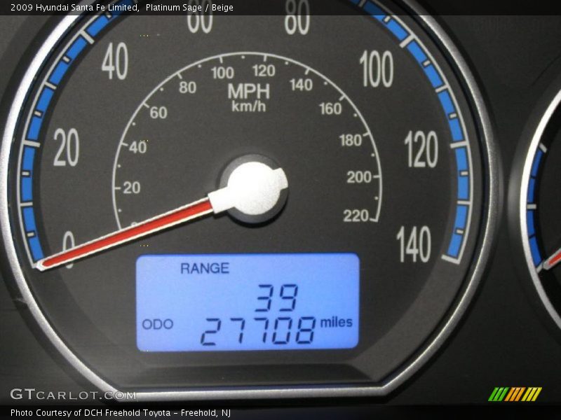 Platinum Sage / Beige 2009 Hyundai Santa Fe Limited