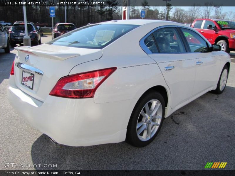  2011 Maxima 3.5 SV Winter Frost White