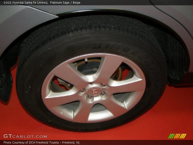 Platinum Sage / Beige 2009 Hyundai Santa Fe Limited